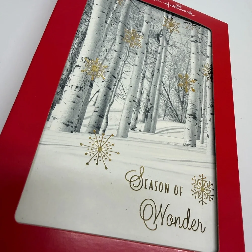 Hallmark Season of Wonder Christmas Cards 16 Count Winter Birch Gold Foil New